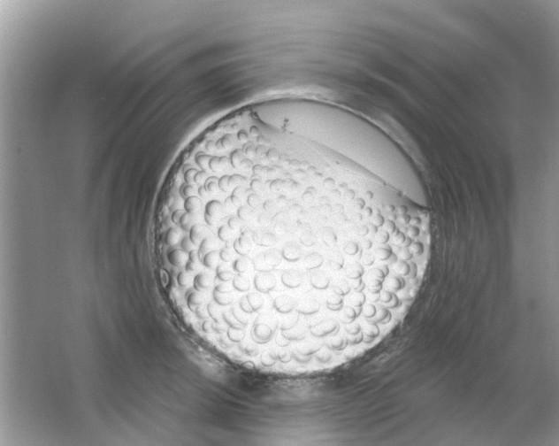 X0000063491044200602172046