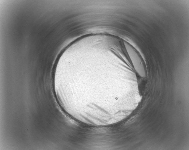 X0000063491045200602172046