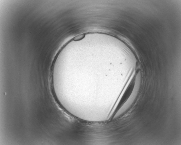 X0000063491048200602172046