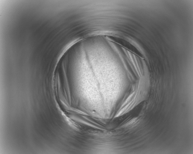 X0000063491050200602172046