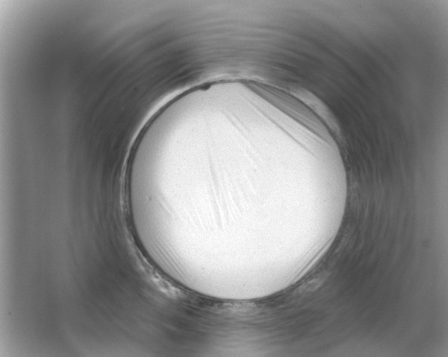 X0000063491052200602172046