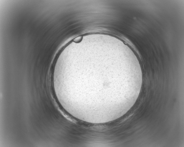 X0000063491053200602172046