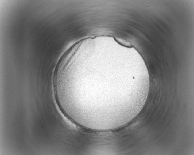 X0000063491055200602172046