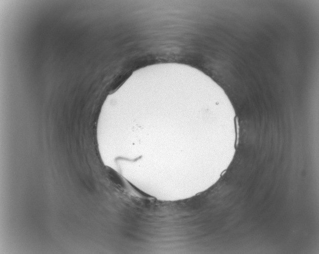 X0000063491057200602172045