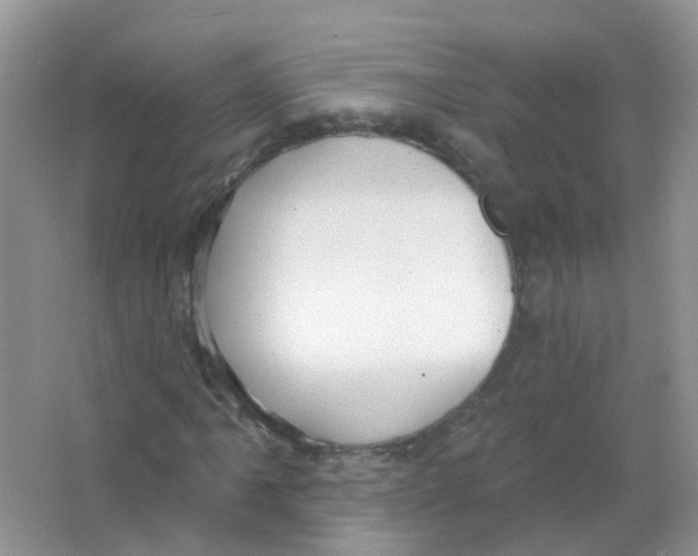 X0000063491061200602172045