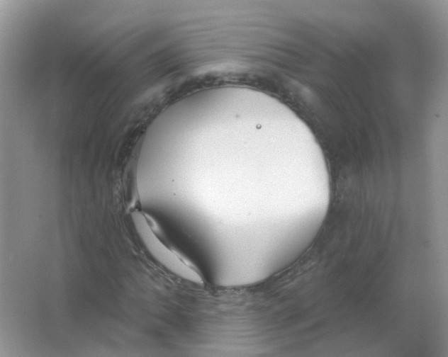 X0000063491062200602172045