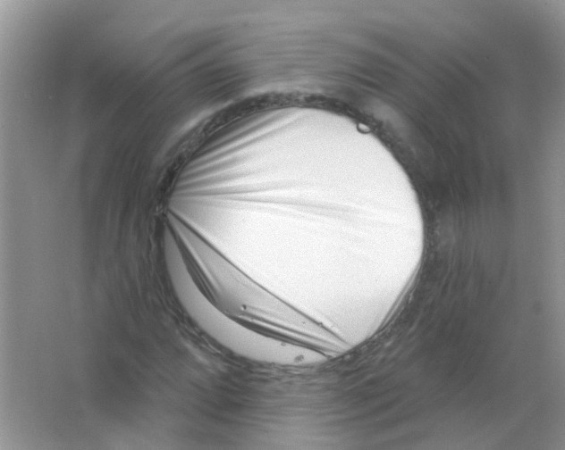 X0000063491064200602172045