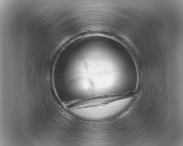 X0000063491065200602172045