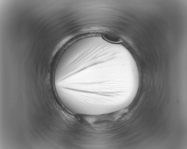 X0000063491066200602172045