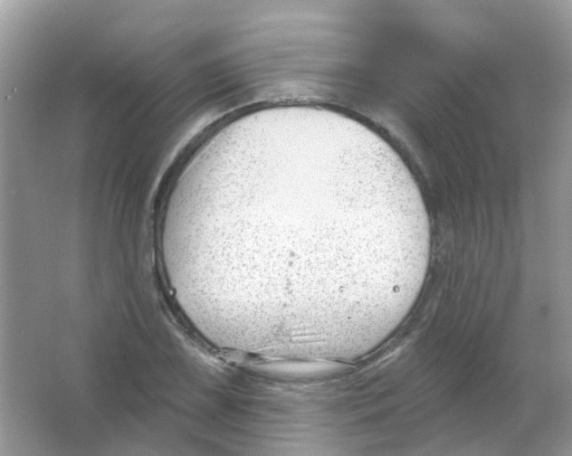 X0000063491075200602172045