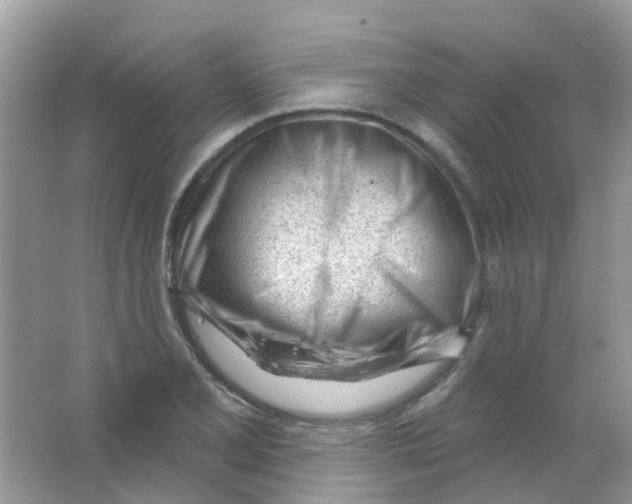 X0000063491077200602172044