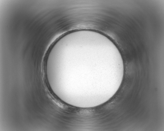 X0000063491078200602172044