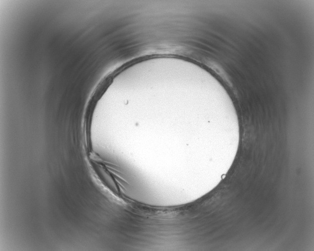 X0000063491080200602172044