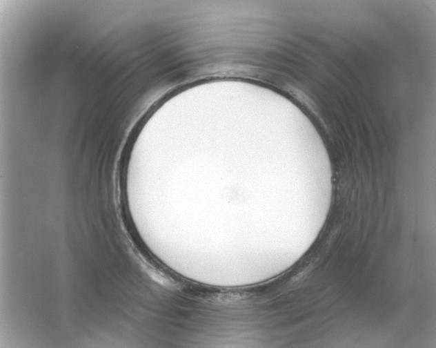 X0000063491082200602172044