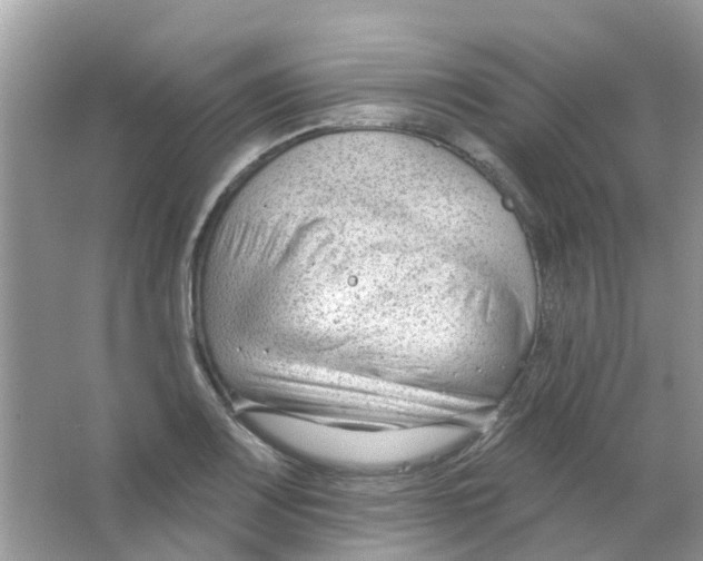 X0000063491083200602172044