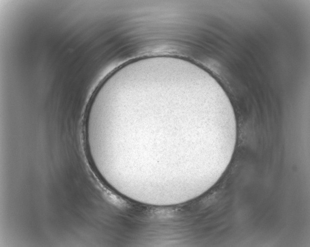 X0000063491086200602172044