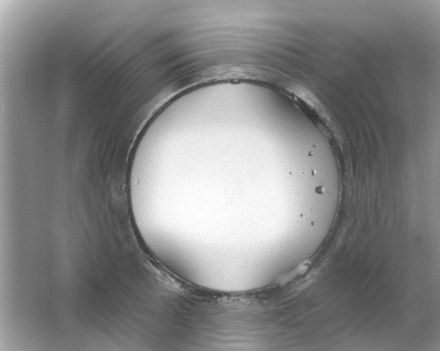 X0000063491089200602172044