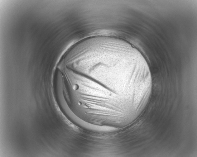 X0000063491091200602172044