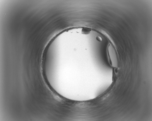 X0000063491093200602172044