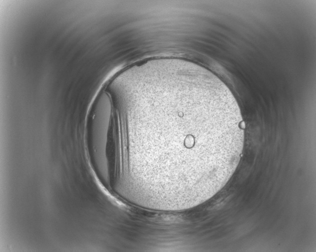 X0000063491095200602172044