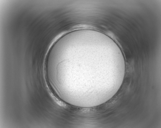 X0000063491098200602172044