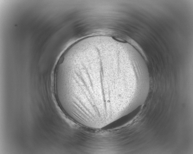 X0000063491099200602172044