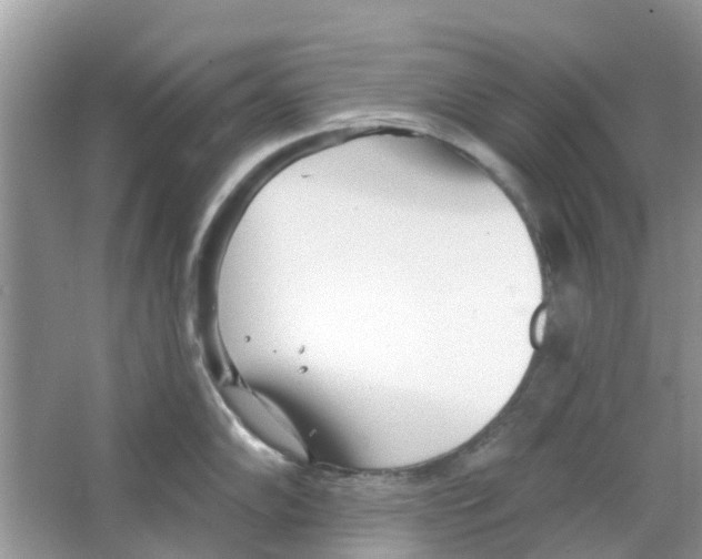 X0000063491102200602172044