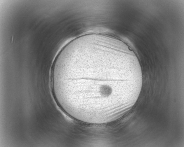 X0000063491103200602172044