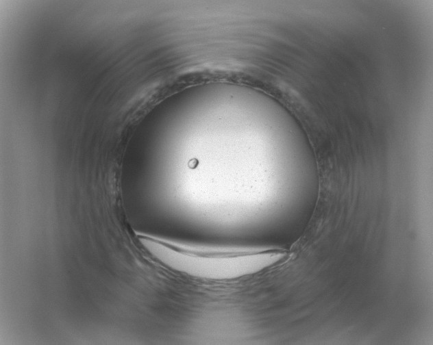 X0000063491110200602172043