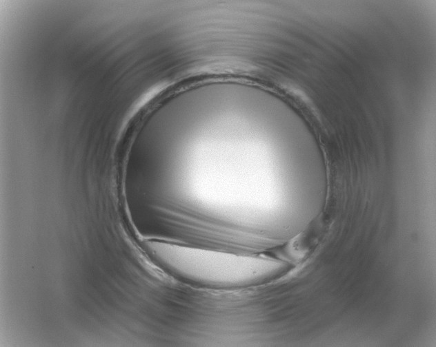 X0000063491114200602172043