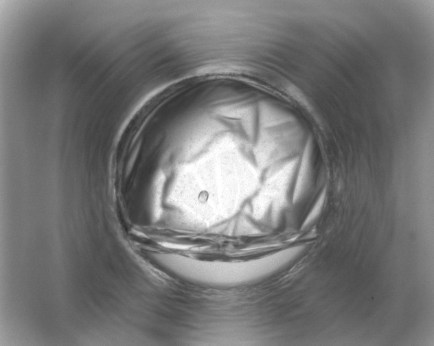 X0000063491124200602172043