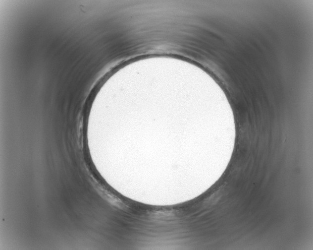 X0000063491126200602172043