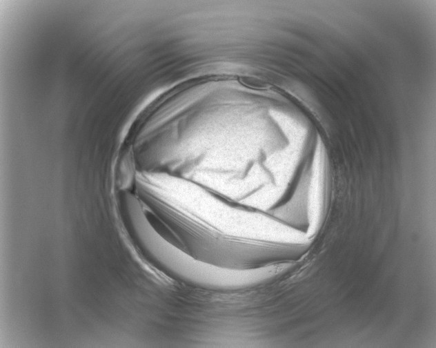 X0000063491128200602172044