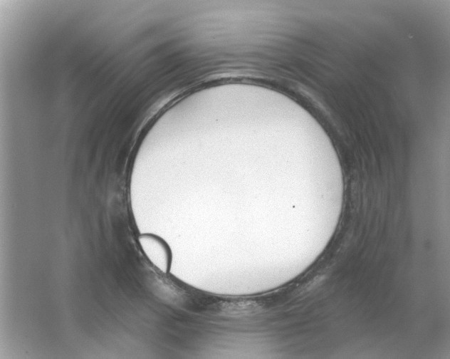 X0000063491129200602172044