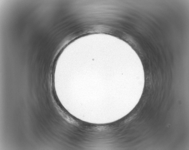 X0000063491130200602172044