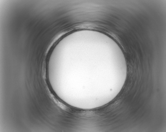 X0000063491131200602172044