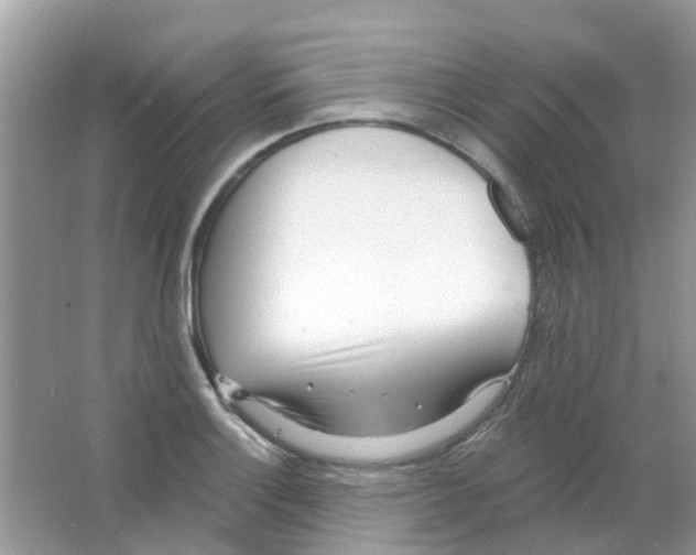 X0000063491132200602172044