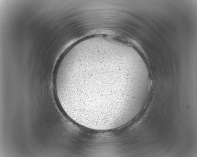 X0000063491133200602172044