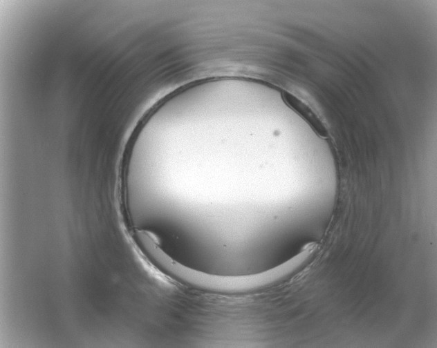 X0000063491136200602172044