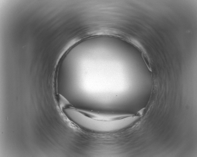 X0000063491138200602172044