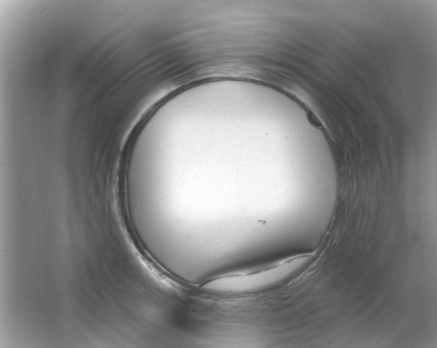 X0000063491139200602172044