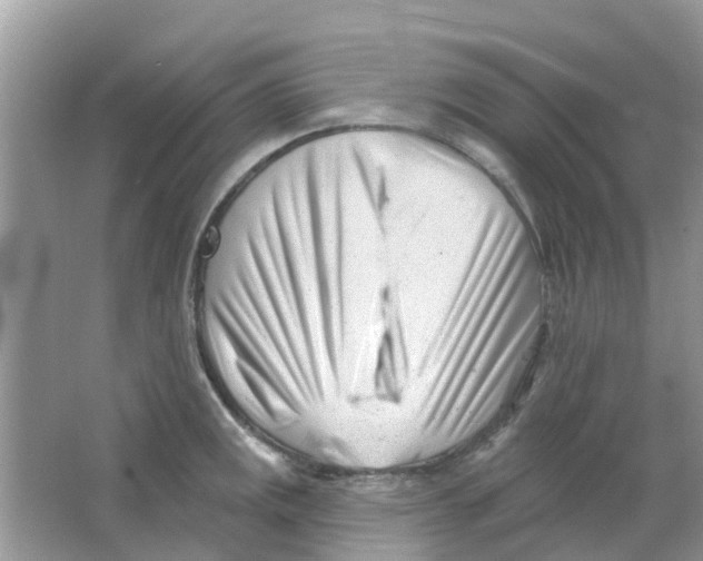 X0000063491141200602172044