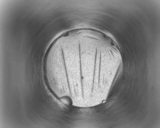 X0000063491142200602172044