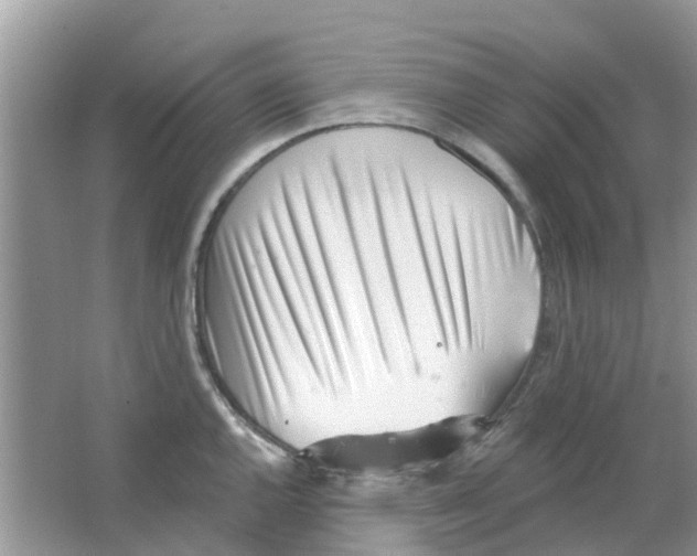 X0000063491144200602172044