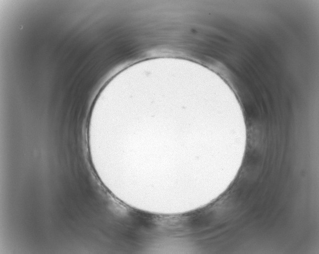 X0000063491150200602172044