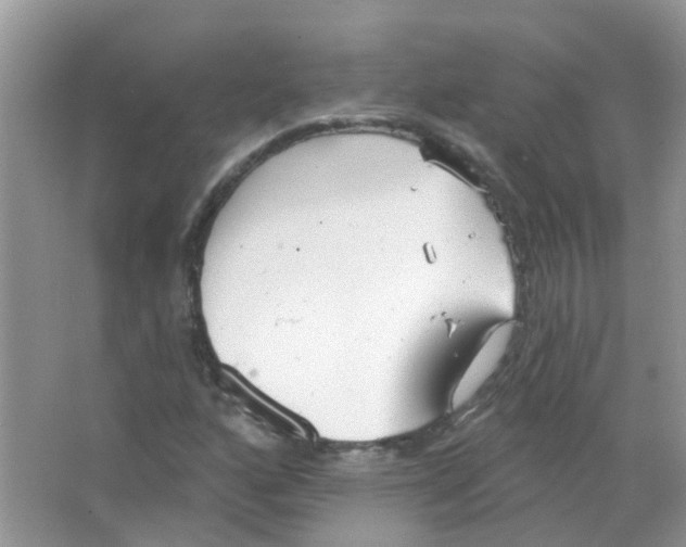 X0000063491160200602172043