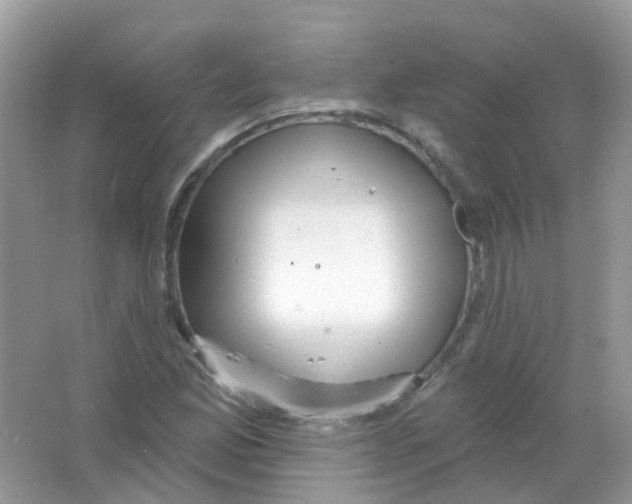 X0000063491165200602172043