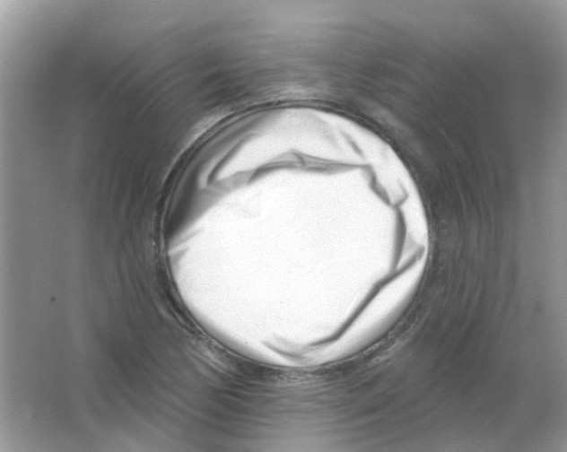 X0000063491170200602172043