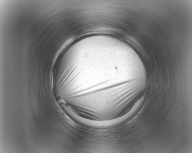 X0000063491180200602172043