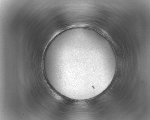 X0000063491186200602172043